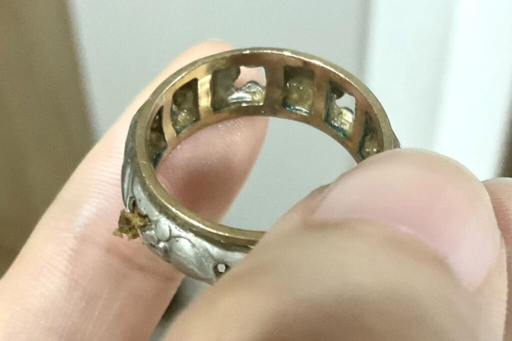 水に濡れて内部の汚れが見えやすい内部